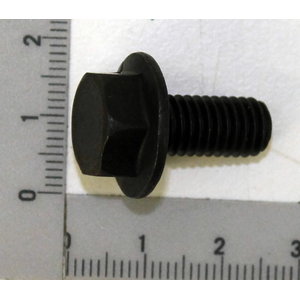 Hex screw TSM255
