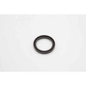 Seal ring 