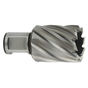 Kroņurbis HSS 12x30mm