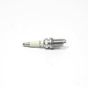 PLUG-SPARK EMS