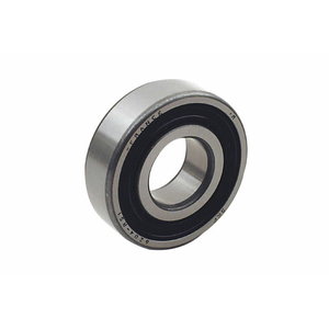 Bearing 6004 2RS1