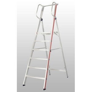 Platform ladder with handrail 8080