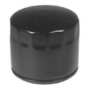 &Otilde;lifilter Kohler mootorile CH 640 