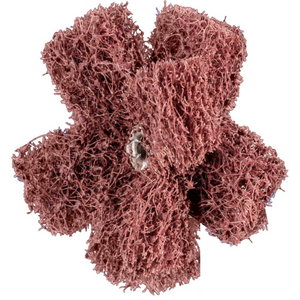 Non-woven cross buff PNST Polinox 50mm/2 A100