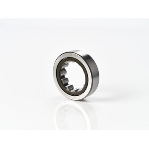 BEARING ROLLER
