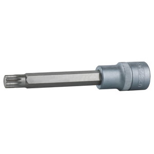 Antgalis galvutė, 1/2", ilga,  XZN  M10 