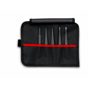 Pintsettide komplekt