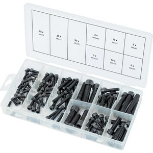 Hexagon screws assortment, metric, 106 pcs 