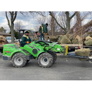 Augalų rankovės prie paletinių &scaron;akių 