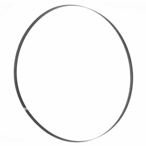 Juostinio pjūklo a&scaron;menys 2950x10x0,5mm T 6mm 