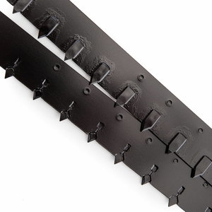 Saw blade XR 430 mm, for poroton 