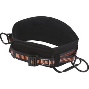 POSITIONING BELT WITH WIDE VELCRO - 2 ANCHORAGE POINTS, Delta Plus
