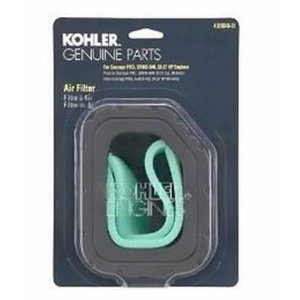 Air filter w/pre cleaner