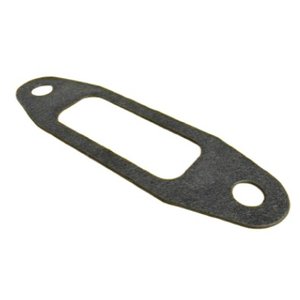 Water pump gasket