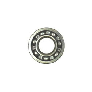 Kuullaager 6202X47C3, ECHO