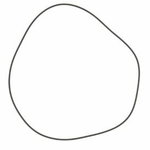 Rõngastihend, Dana Incorporated