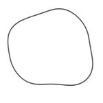 O - RING, Dana Incorporated