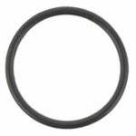 O RING, Dana Incorporated