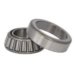 Bearing OEM, Dana Incorporated