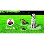 IoT lemmiklooma nutiseade Amico, Ambrogio