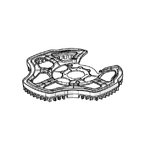 Blade guard 4.0 4WD, Ambrogio