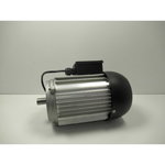 MOTOR TKS 254 E NO. 198 / 230V, Holzstar