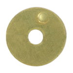 Droseles vārsts, Echo