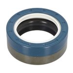 Oil seal 45X65X25, CARRARO