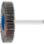 Mounted flap wheel F 50x10/6mm A80, Pferd