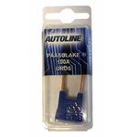 Fuse JAP  100A, OTHER