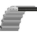 Hammasrihm 8.1 1760-DS8M-20, Ratioparts