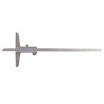 Depth caliper DIN 862 INOX 250mm, Vögel