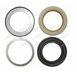 Seal kit  FENDT F184300020541, F184.300.020.541 F18430002054 F184300020541, Bepco