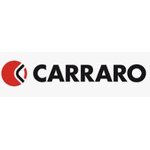 Bearing, CARRARO