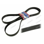 Siksna 489734M2; R96255, Bepco