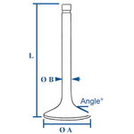 EXHAUST VALVE (X1) 1pc RE518081, R502370, Bepco