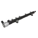 Line injector OEM 28252069 DELPHI, OTHER