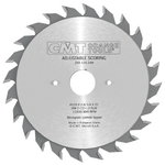 Adjustable scoring blade HW Xtreme 120x2,8-3,6x20mm Z12+12 a=12° b=FLAT, CMT