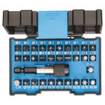 bit set 32pc, 666-032-A, Gedore