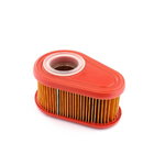 Air filter Briggs & Stratton DOV, Nevada