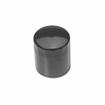 Alyvos filtras, Arnold