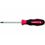 skrūvgriezis TX T40 g.100mm R38401825, Gedore RED
