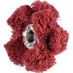 Non-woven cross buff PNST Polinox 25mm/2 A280 FINE, Pferd