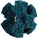 Non-woven cross buff PNST Polinox 38mm/3 A MEDIUM FINE, Pferd