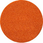 Sponge disc coarse ų350, on plastic backing, Rokamat