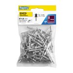 Standartiniai kniedės, 100 vnt. Ø4.8 x 14 mm, Rapid