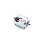 DC Motor WG790E.1, WG791E.1, WG796E.1, Worx