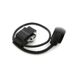 Ignition coil Stil FS, Nevada