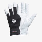 Gloves, DEX 12 10, GlovesPro