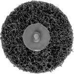 POLICLEAN-DISCS 50mm PCLR CDR POLICLEAN, Pferd